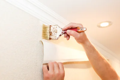 Pose de papier peint à Bouniagues — revêtements muraux et toiles de verre